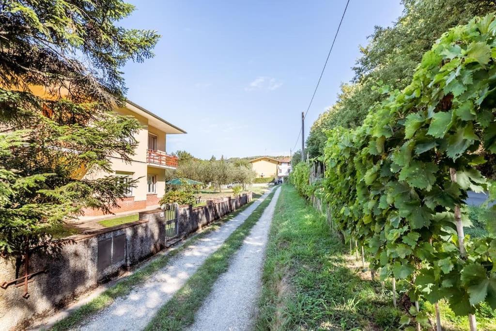 Appartamento Poggio Del Sole Lucca Exteriör bild